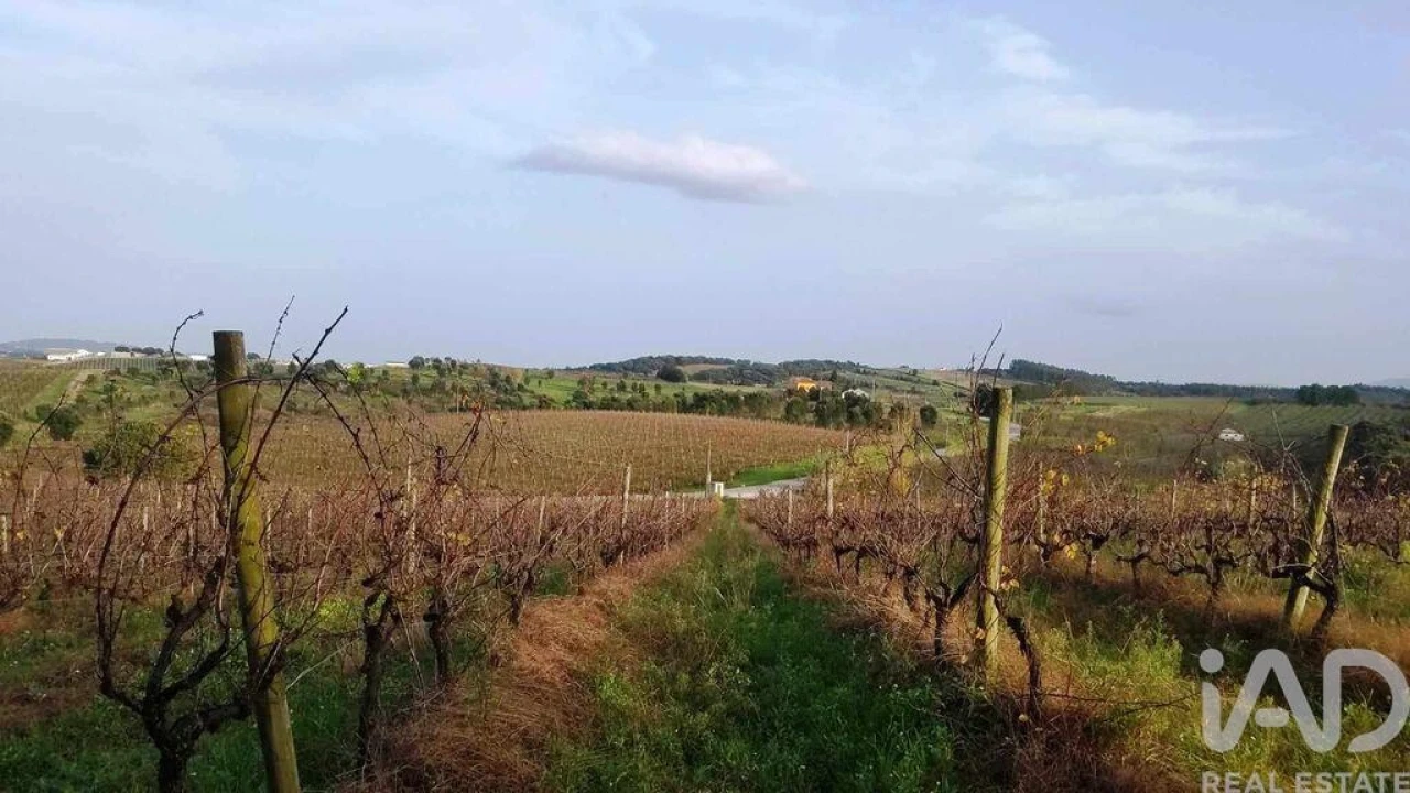 Terreno para Venda em Carvalhal Foto 6