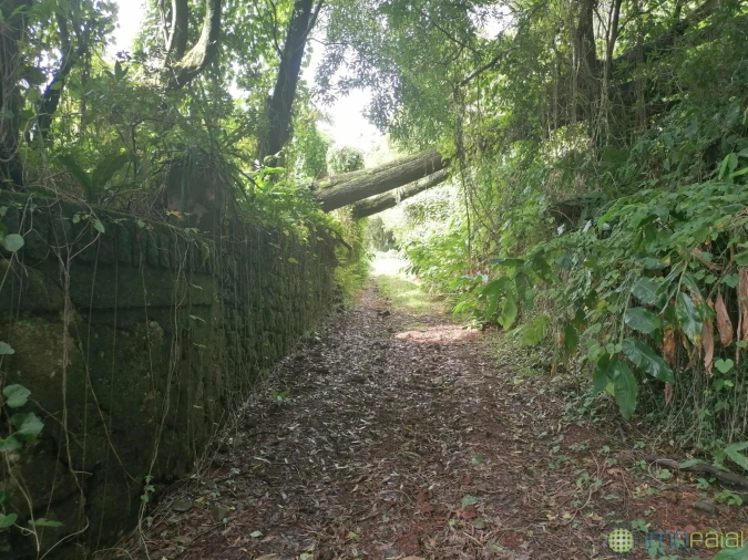 Terreno para Venda em Flamengos Foto 2