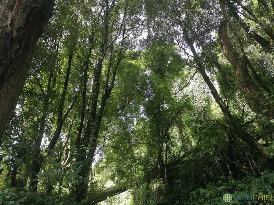Terreno para Venda em Flamengos Foto 3