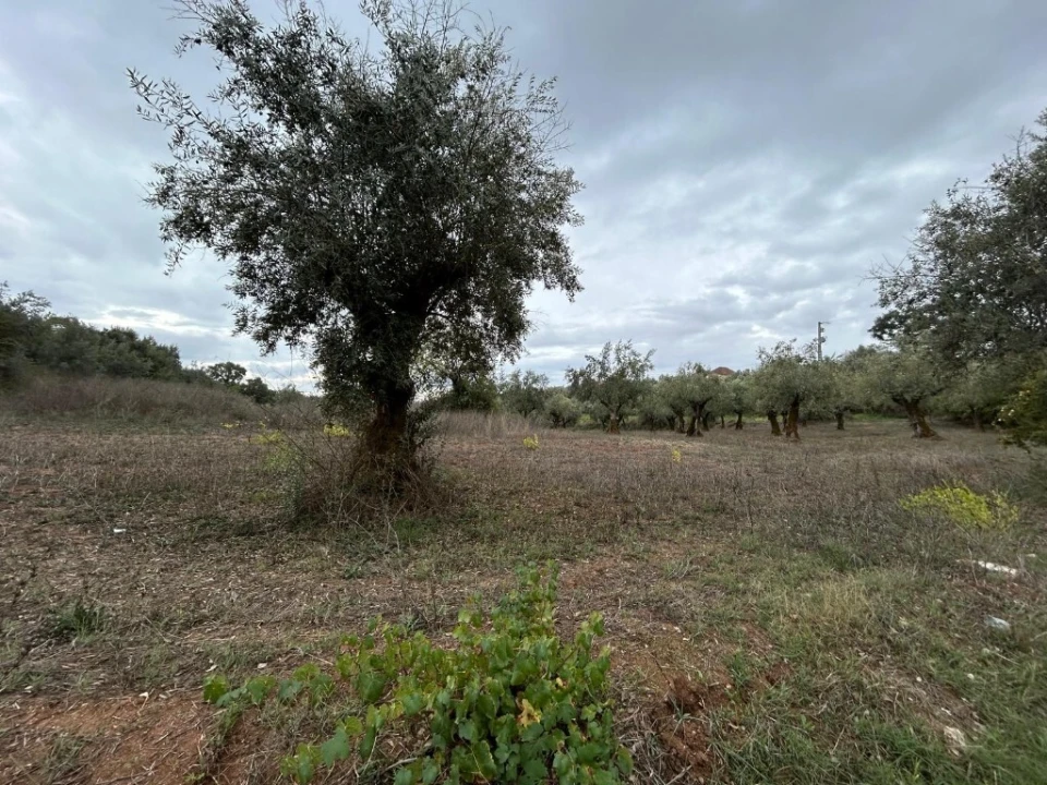 Terreno para Venda em Casais e Alviobeira Foto 10