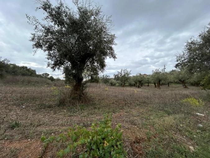 Terreno para Venda em Casais e Alviobeira Foto 10