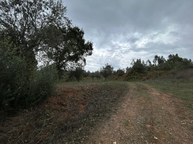 Terreno para Venda em Casais e Alviobeira Foto 9