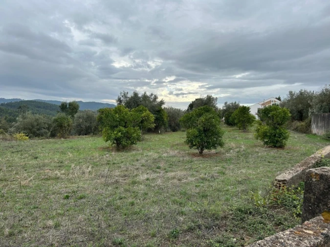 Terreno para Venda em Casais e Alviobeira Foto 3