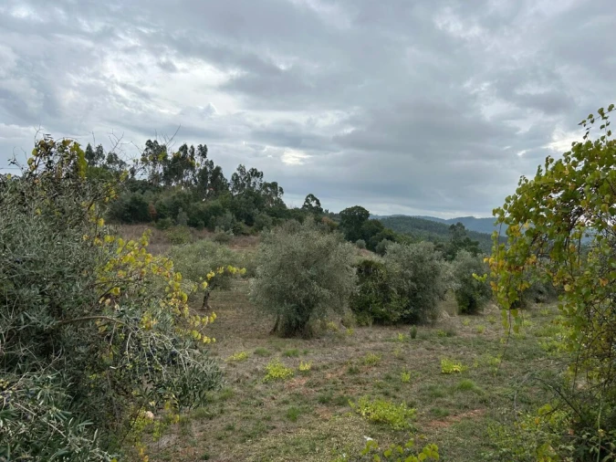 Terreno para Venda em Casais e Alviobeira Foto 6