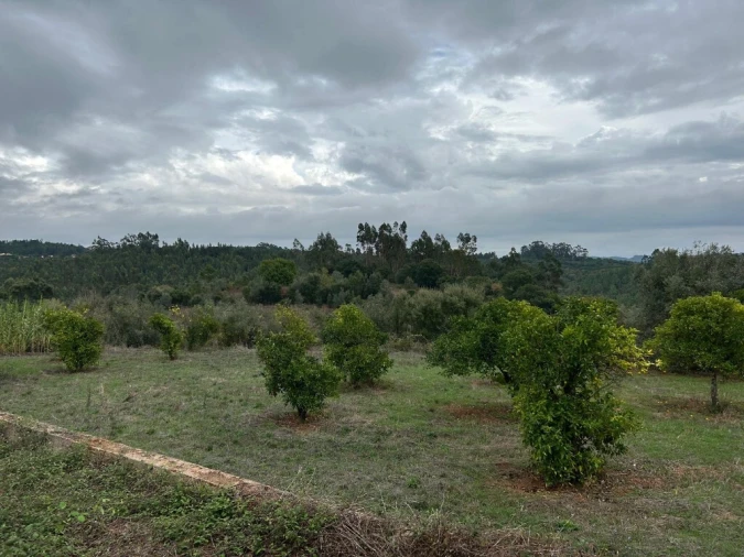 Terreno para Venda em Casais e Alviobeira Foto 4