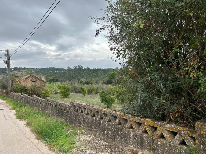 Terreno para Venda em Casais e Alviobeira Foto 2