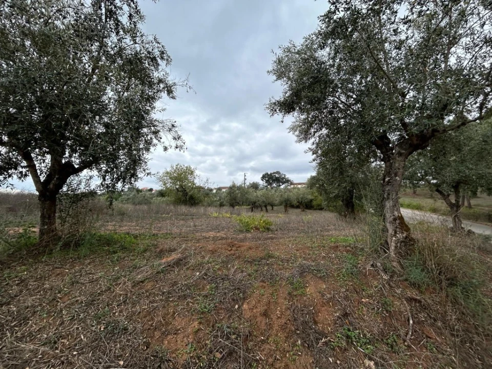 Terreno para Venda em Casais e Alviobeira Foto 11