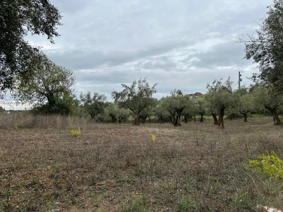 Terreno para Venda em Casais e Alviobeira Foto 8