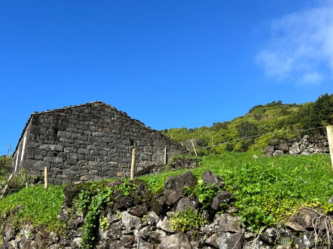 Terreno para Venda em Ribeiras Foto 8