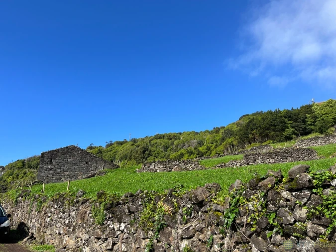 Terreno para Venda em Ribeiras Foto 10