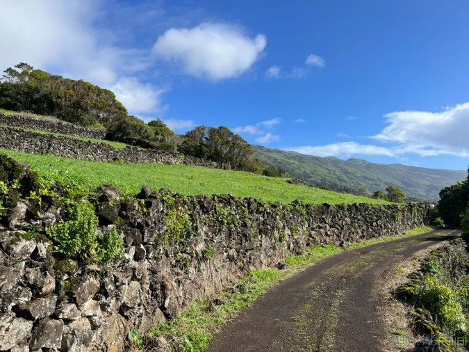 Terreno para Venda em Ribeiras Foto 9