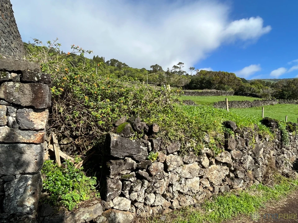 Terreno para Venda em Ribeiras Foto 6