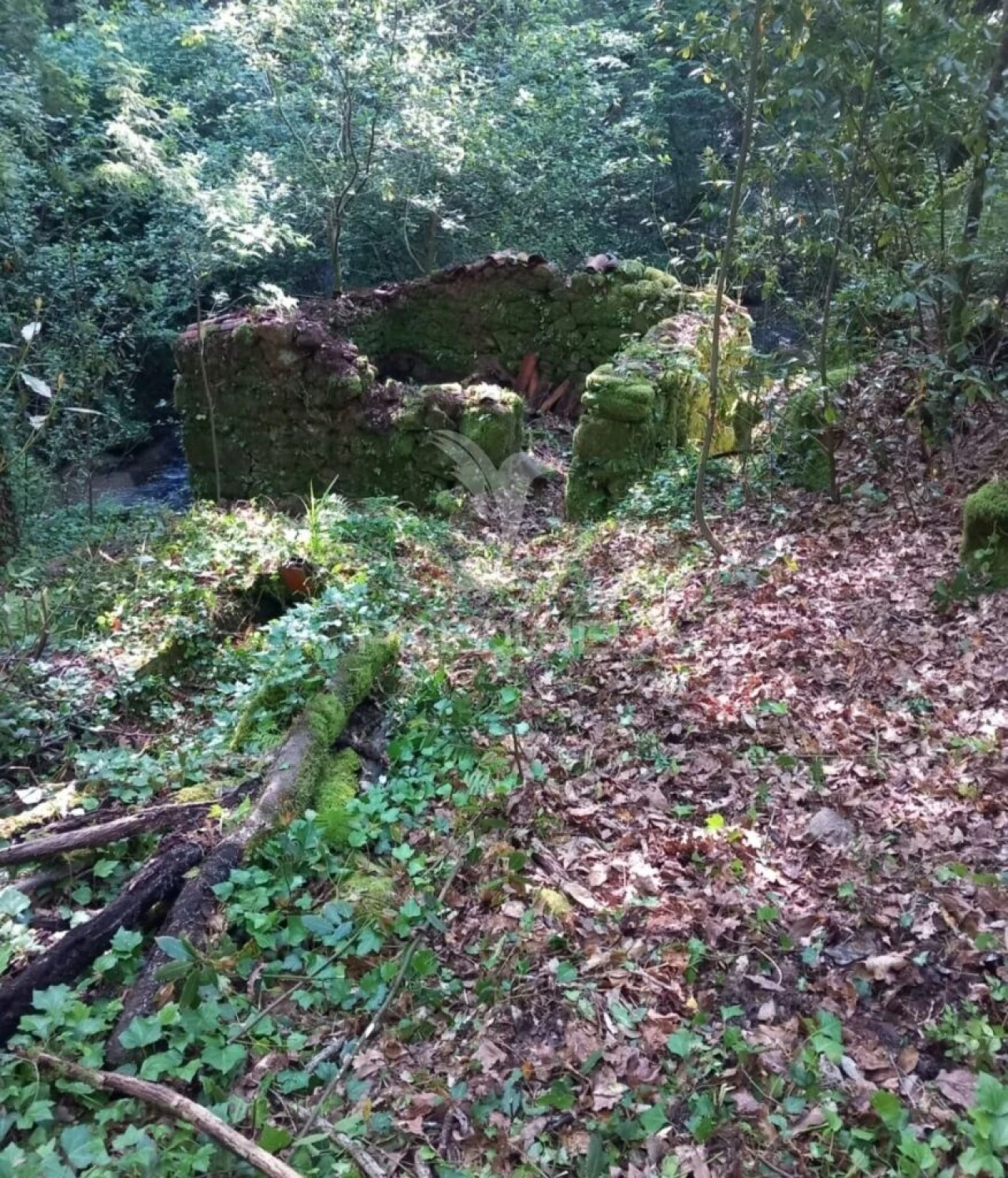 Terreno para Venda em Figueiró dos Vinhos e Bairradas Foto 3