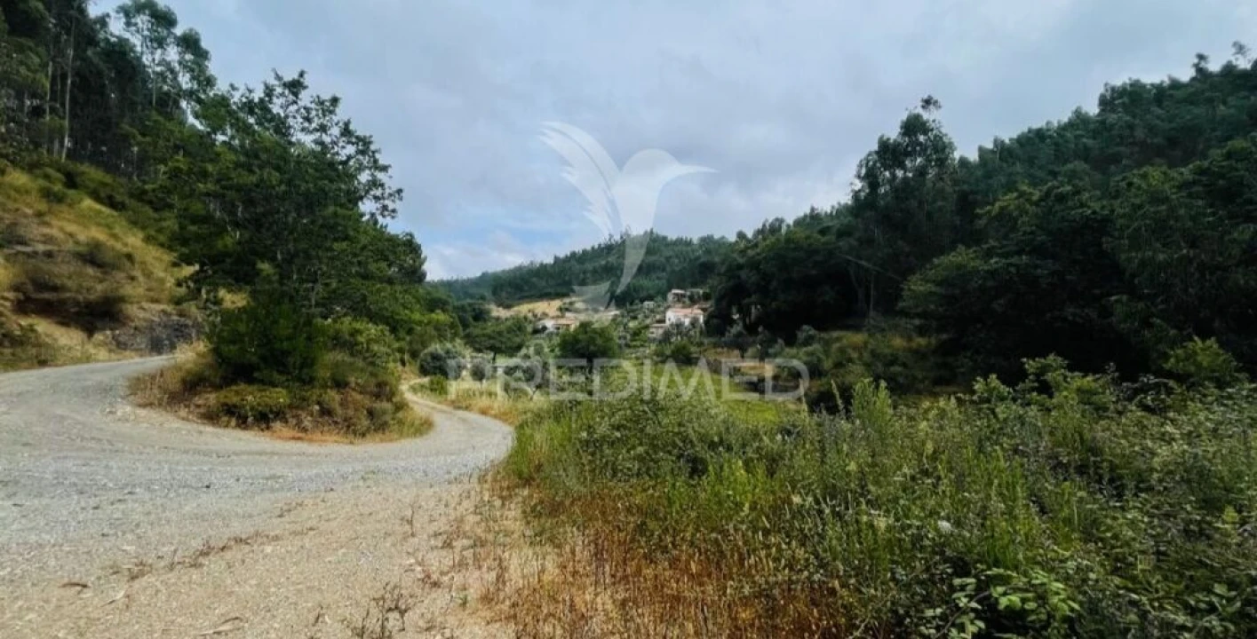Terreno para Venda em Figueiró dos Vinhos e Bairradas Foto 5