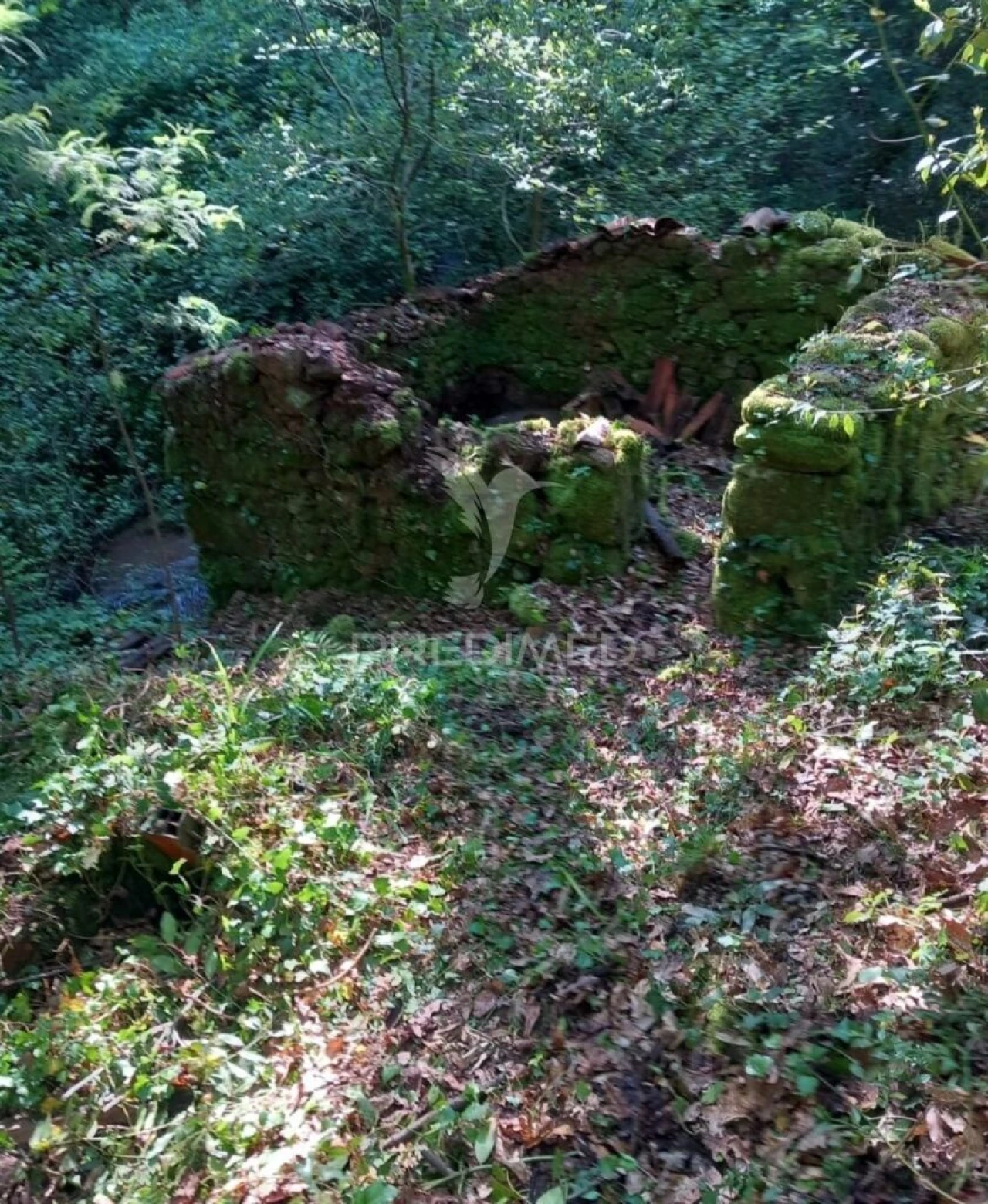 Terreno para Venda em Figueiró dos Vinhos e Bairradas Foto 11