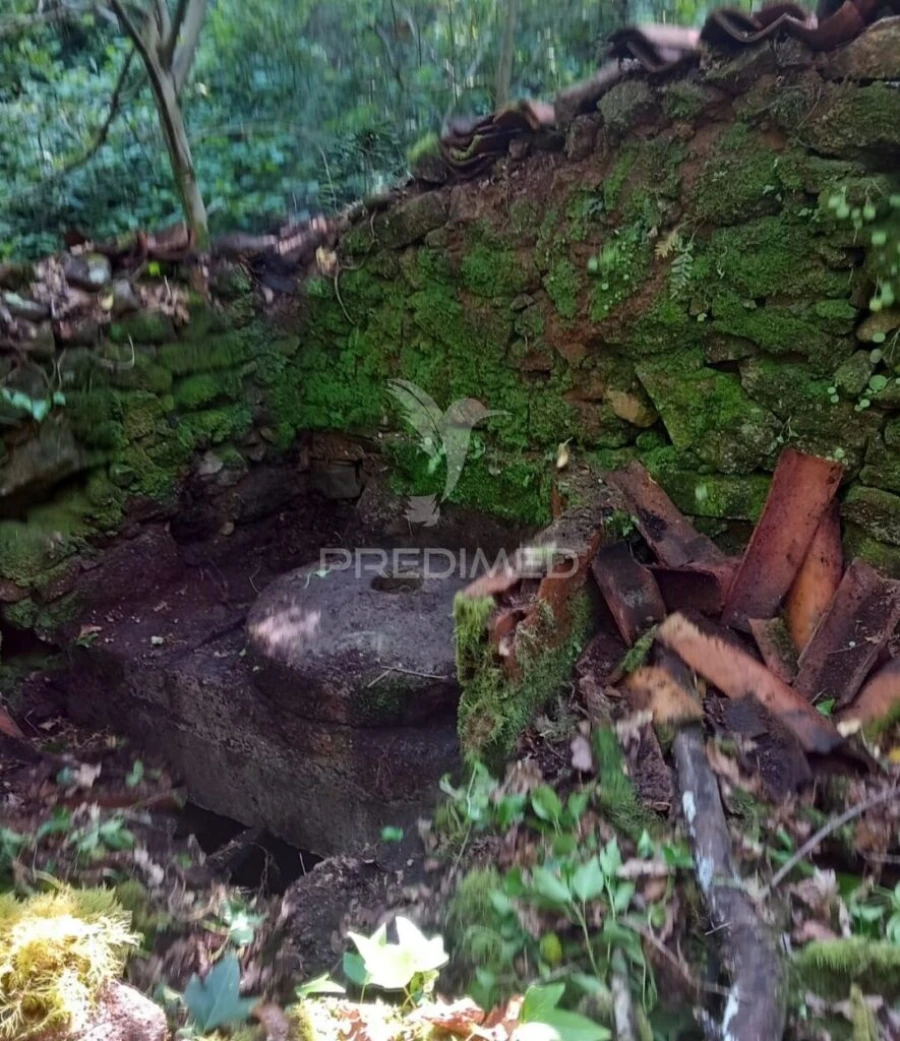 Terreno para Venda em Figueiró dos Vinhos e Bairradas Foto 8