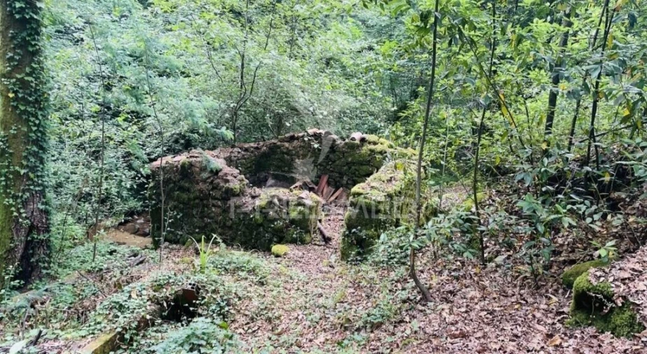 Terreno para Venda em Figueiró dos Vinhos e Bairradas
