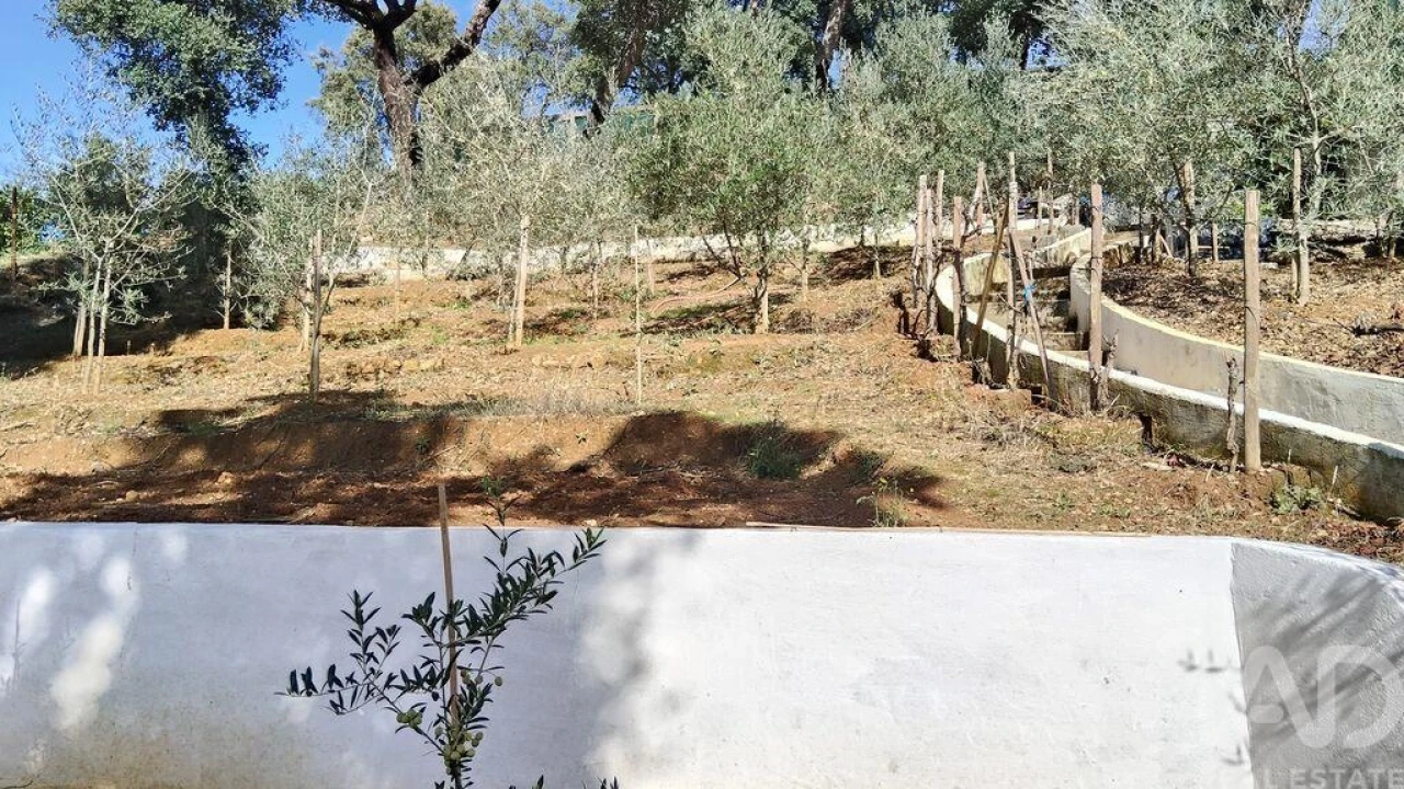 Terreno para Venda em Pedrogão Pequeno Foto 5