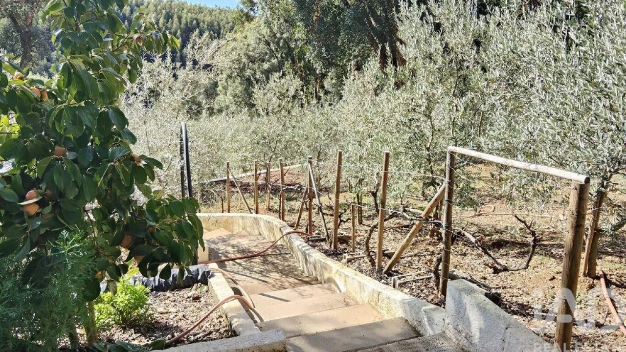 Terreno para Venda em Pedrogão Pequeno Foto 18