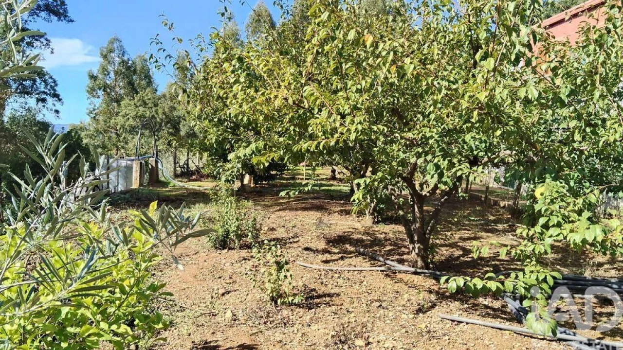 Terreno para Venda em Pedrogão Pequeno Foto 17