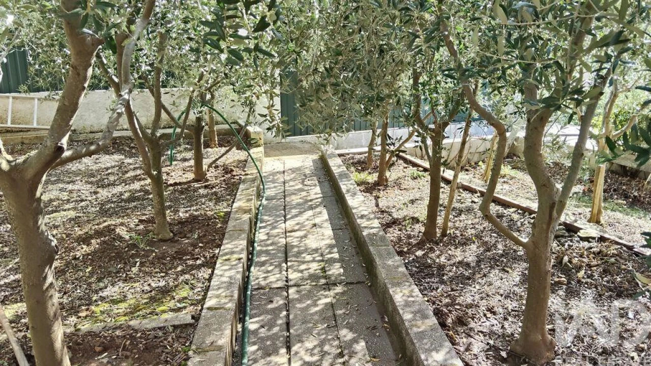 Terreno para Venda em Pedrogão Pequeno Foto 10