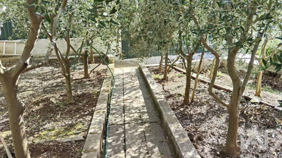 Terreno para Venda em Pedrogão Pequeno Foto 10