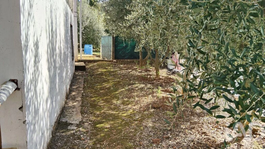 Terreno para Venda em Pedrogão Pequeno Foto 15