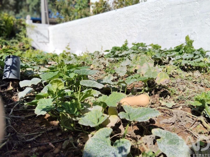Terreno para Venda em Pedrogão Pequeno Foto 12