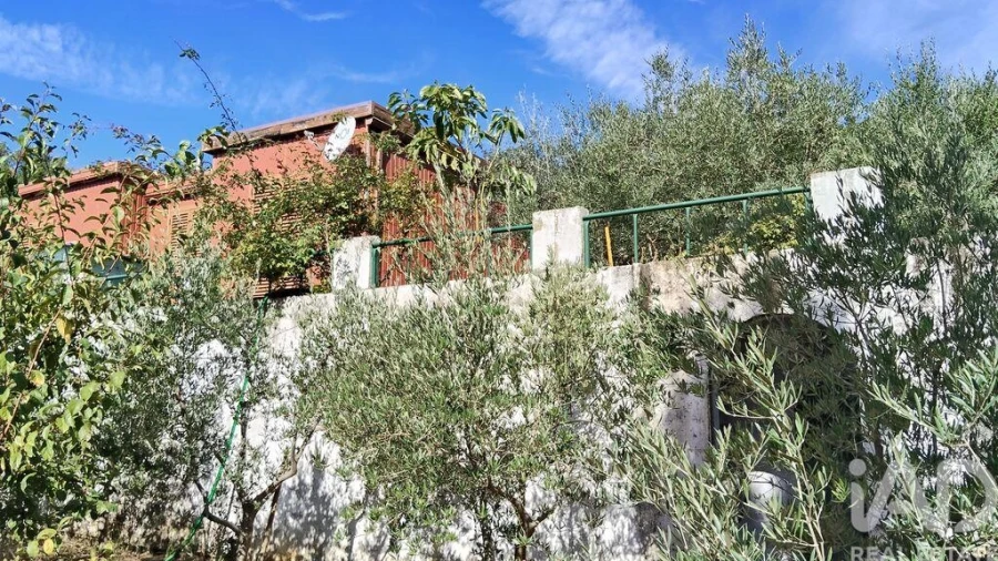 Terreno para Venda em Pedrogão Pequeno Foto 2