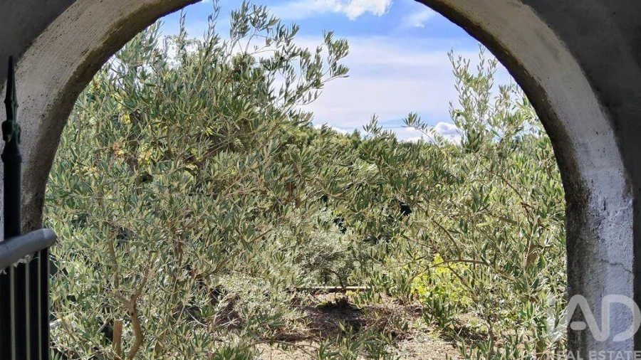Terreno para Venda em Pedrogão Pequeno Foto 11