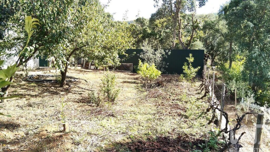Terreno para Venda em Pedrogão Pequeno Foto 16