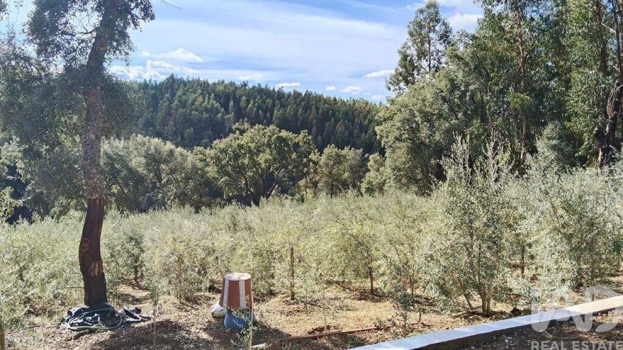 Terreno para Venda em Pedrogão Pequeno Foto 13