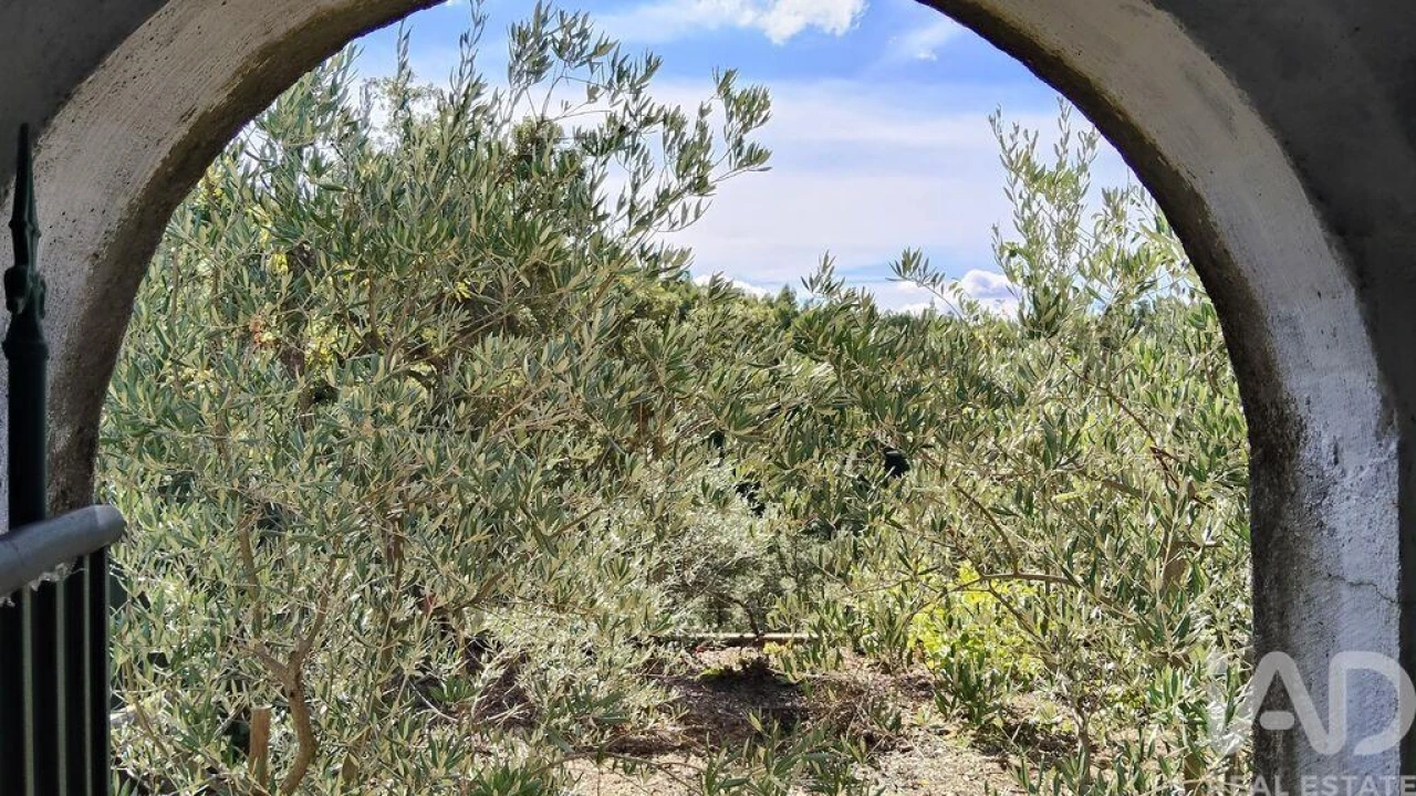 Terreno para Venda em Pedrogão Pequeno Foto 11