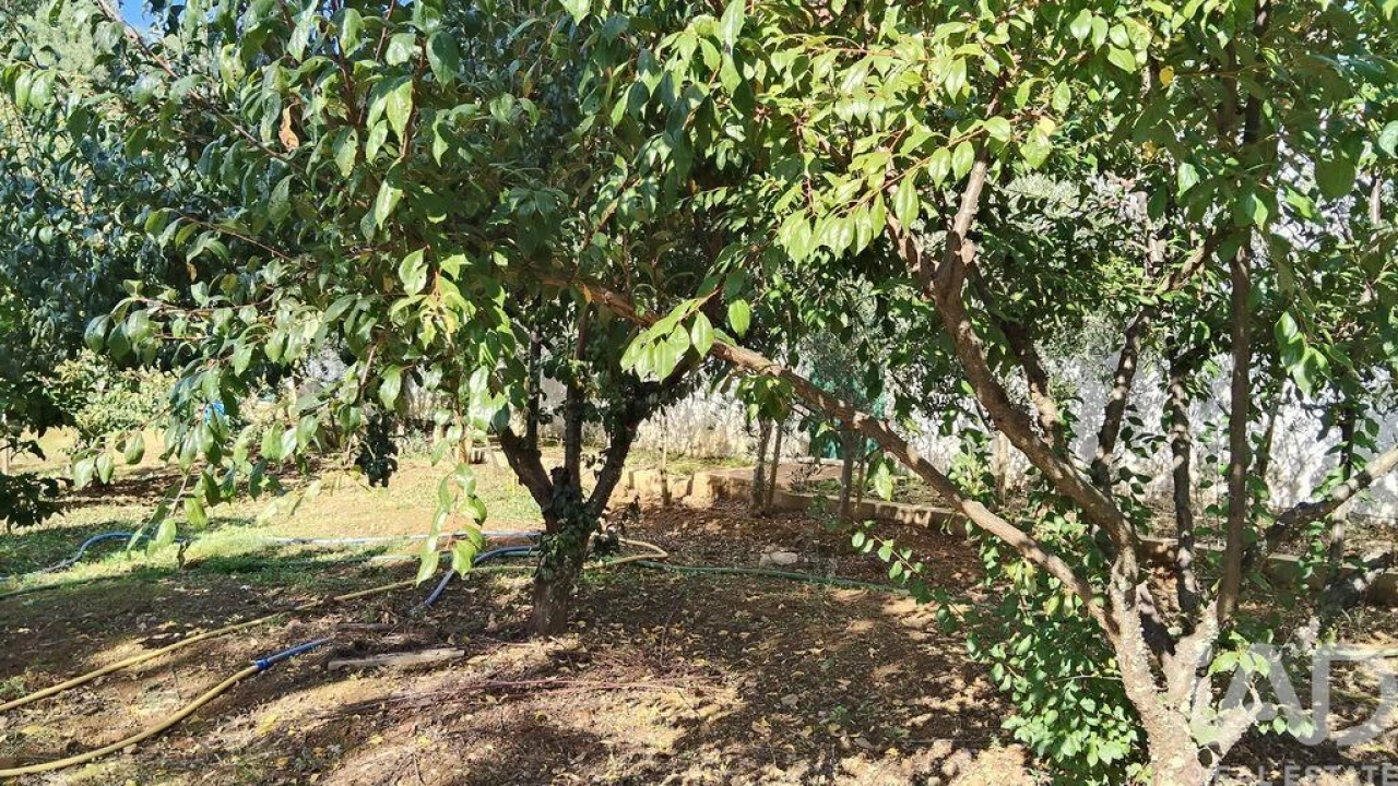Terreno para Venda em Pedrogão Pequeno Foto 9