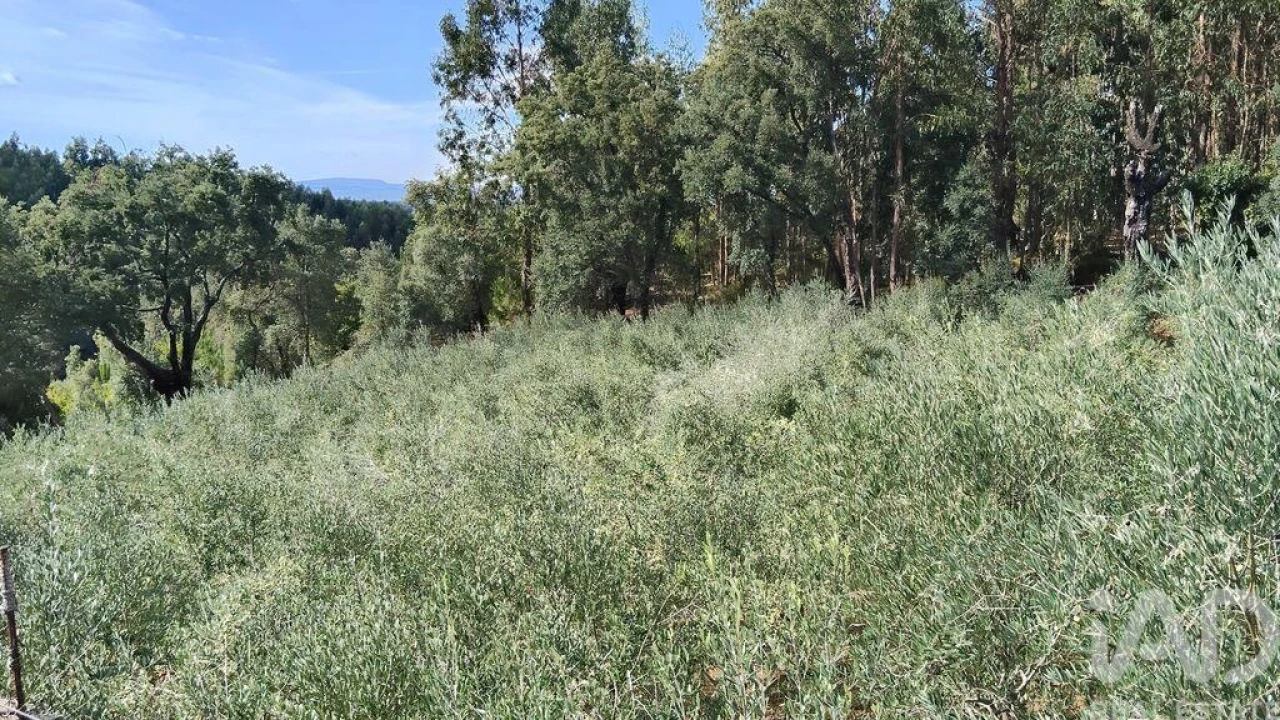 Terreno para Venda em Pedrogão Pequeno Foto 19