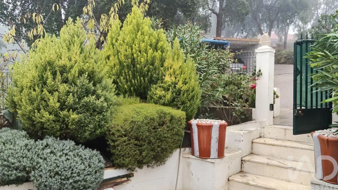 Terreno para Venda em Pedrogão Pequeno Foto 4