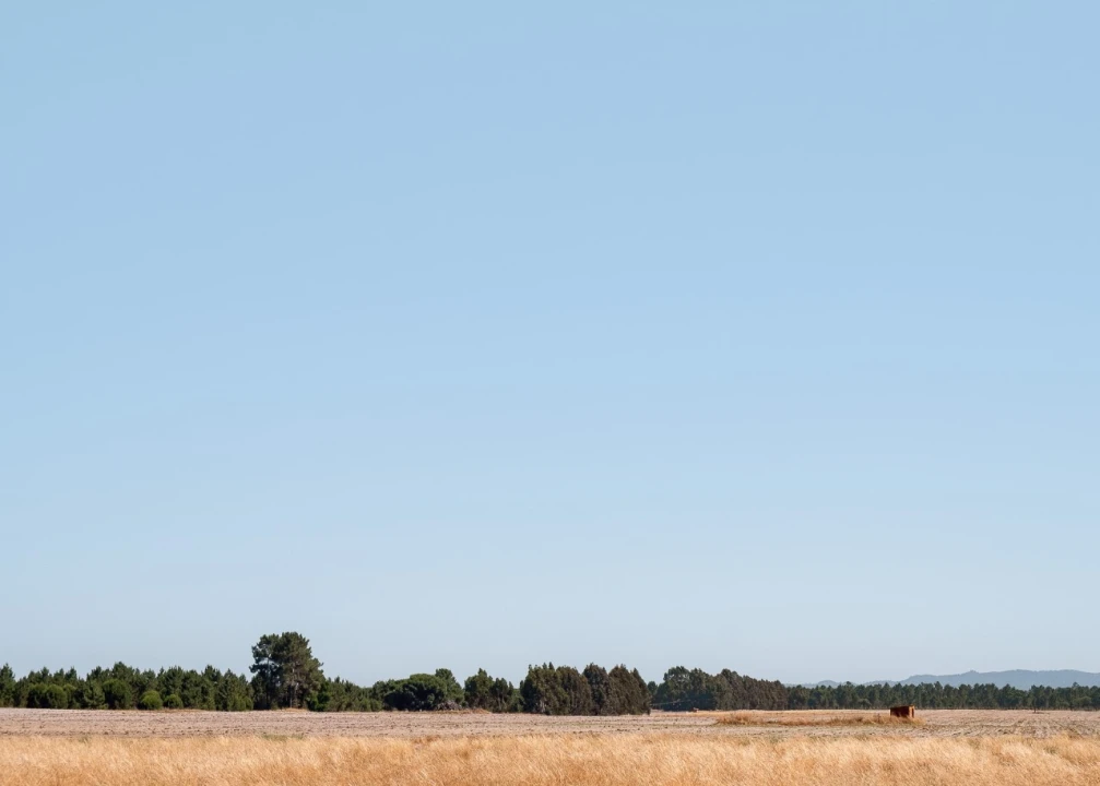 Moradia T11 para Venda em Grândola e Santa Margarida da Serra Foto 23