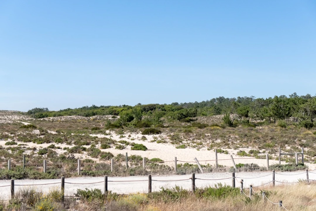 Moradia T11 para Venda em Grândola e Santa Margarida da Serra Foto 27
