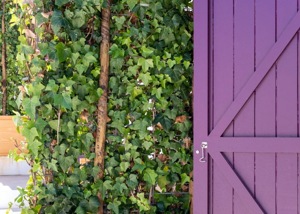 Moradia T11 para Venda em Grândola e Santa Margarida da Serra Foto 21