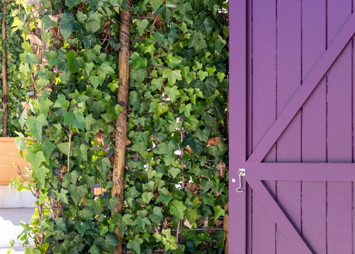Moradia T11 para Venda em Grândola e Santa Margarida da Serra Foto 21