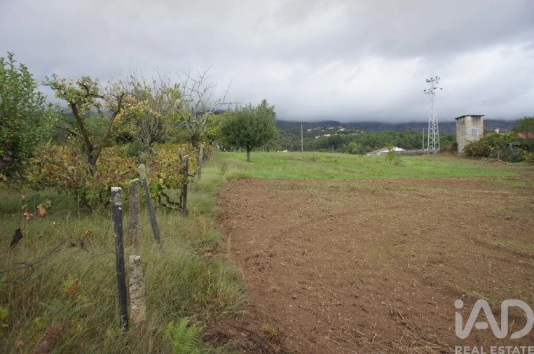 Terreno para Venda em Adoufe e Vilarinho de Samardã Foto 9