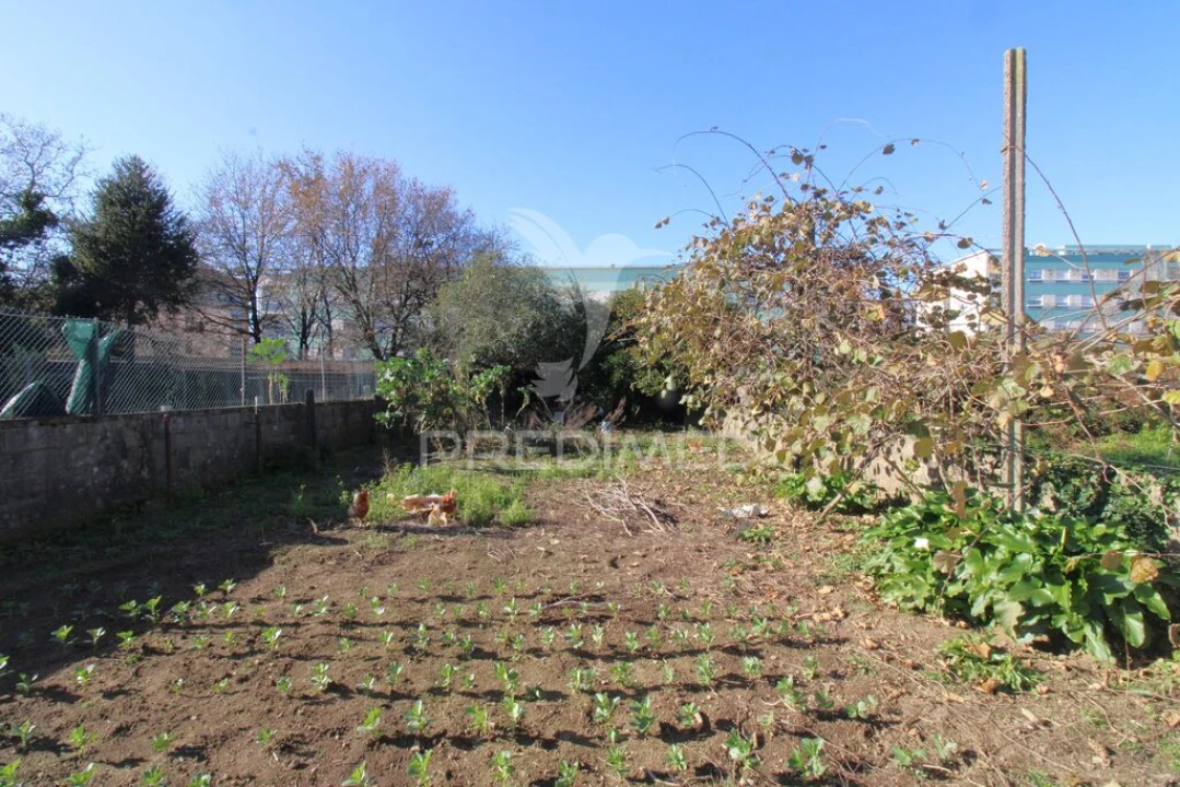 Terreno para Venda em Moreira Foto 7