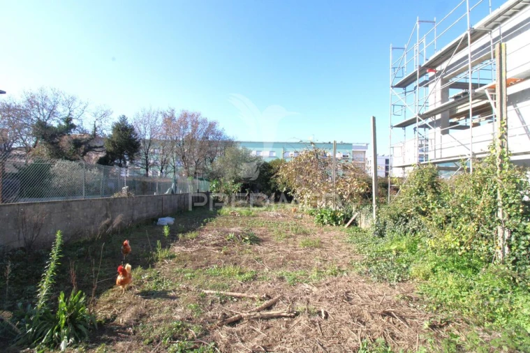 Terreno para Venda em Moreira Foto 5