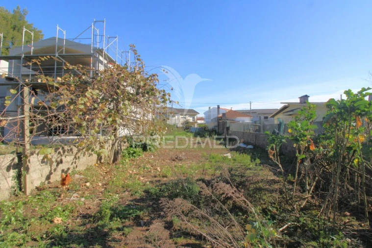 Terreno para Venda em Moreira Foto 9