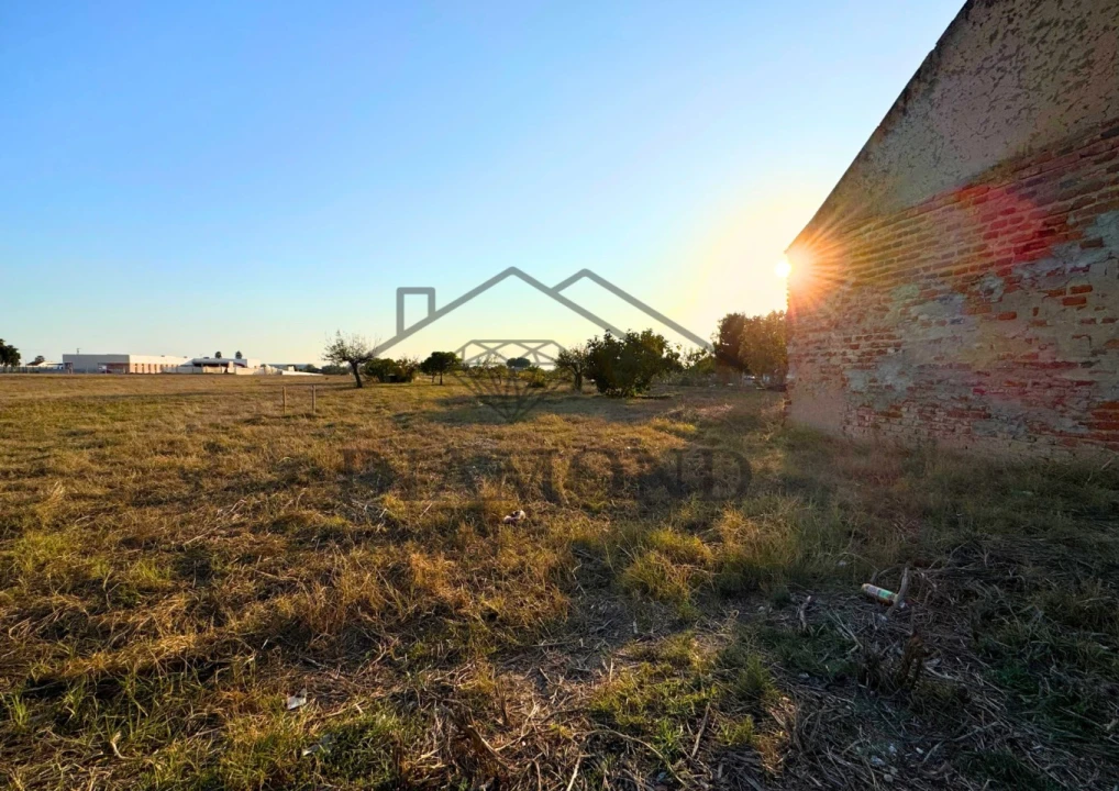 Terreno para Venda em Alpiarça Foto 3