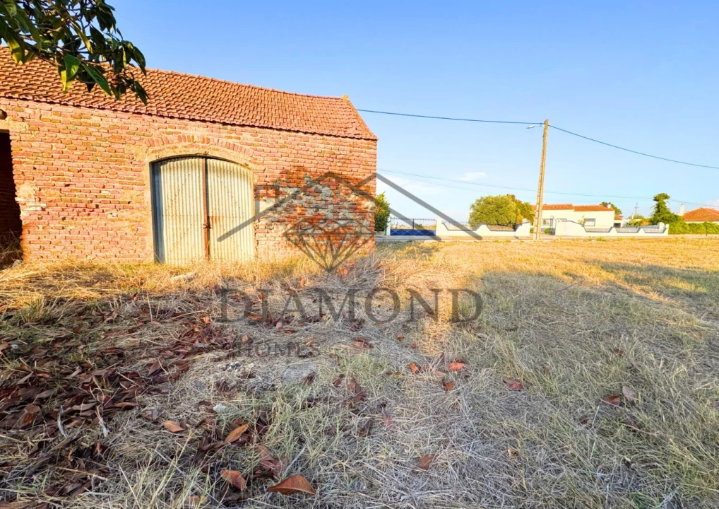 Terreno para Venda em Alpiarça Foto 4