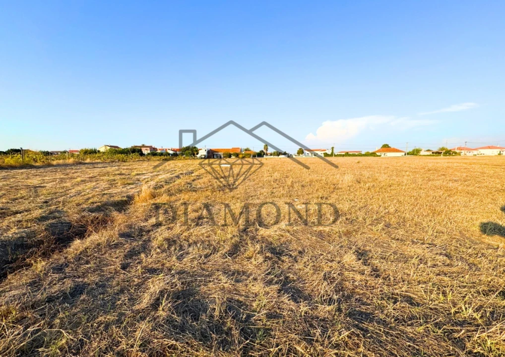 Terreno para Venda em Alpiarça Foto 6