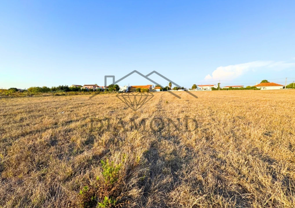 Terreno para Venda em Alpiarça Foto 7