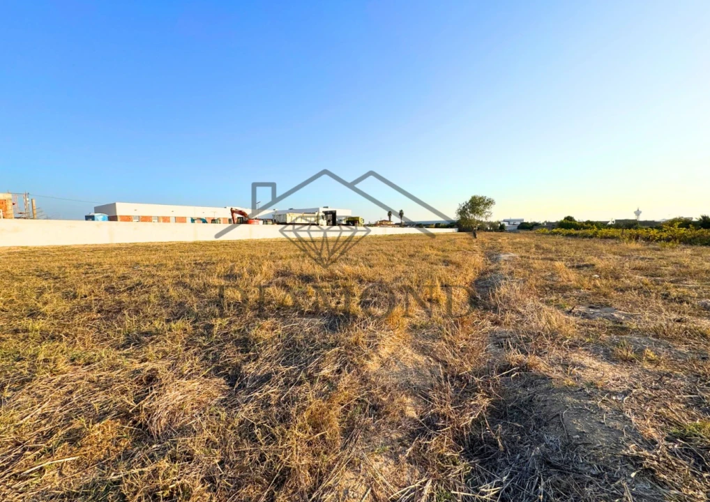 Terreno para Venda em Alpiarça Foto 9