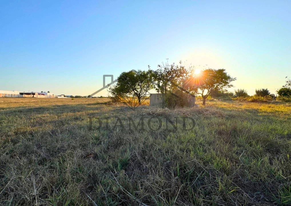 Terreno para Venda em Alpiarça Foto 13